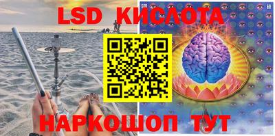 гашик Будённовск