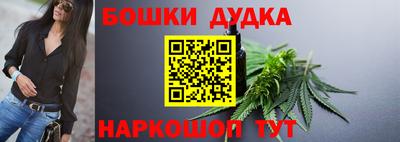 крисы Бийск