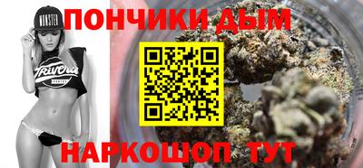 крисы Бийск
