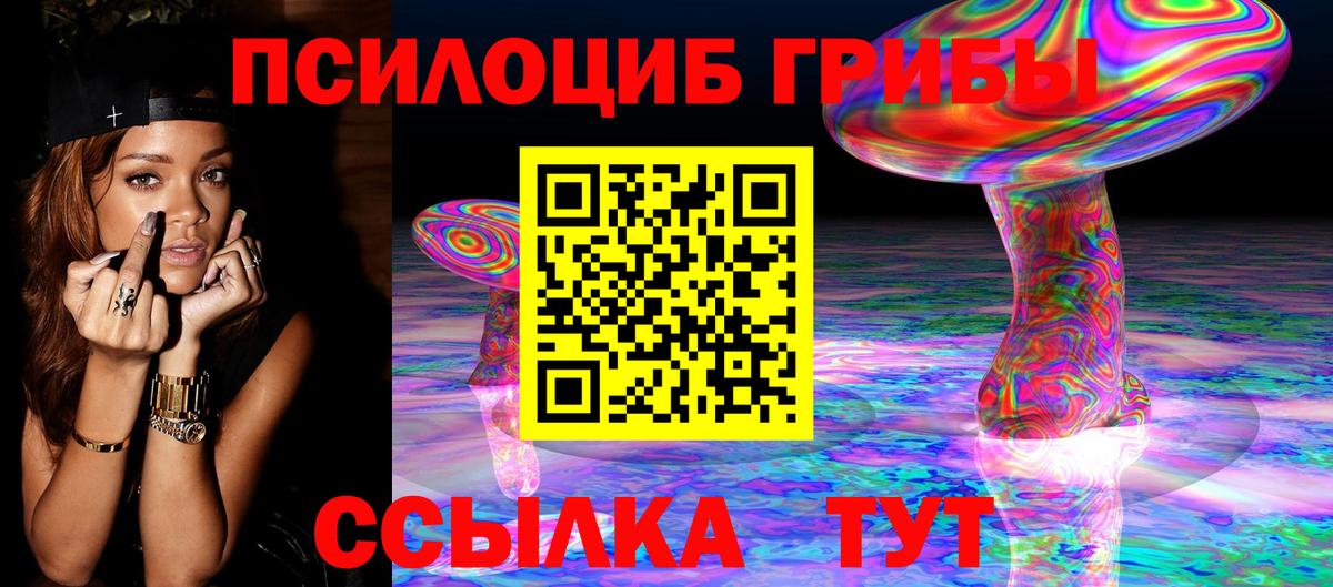 Галлюциногенные грибы Psilocybe Ипатово