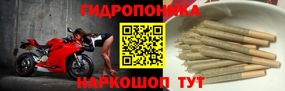 Шишки марихуана MAZAR Ипатово
